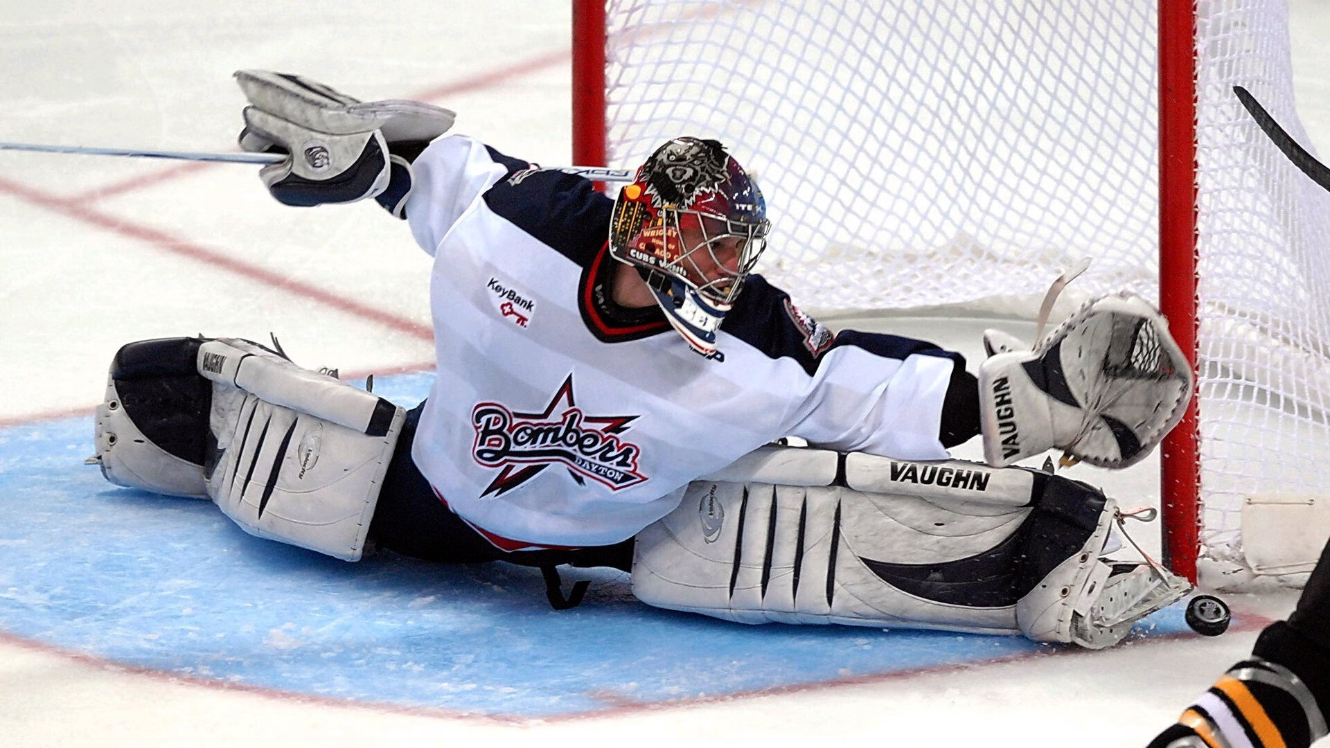 澳大利亚袋鼠队的新生力量如何改变冠军锦标赛格局，澳大利亚袋鼠竞赛赛区